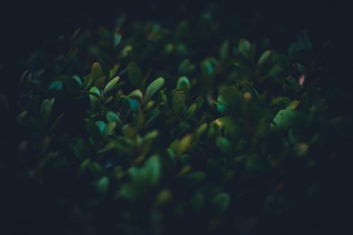 danylo-sorokin-gr9PTNdTtjs-unsplash